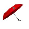 Foldable Auto Open Umbrella Um13